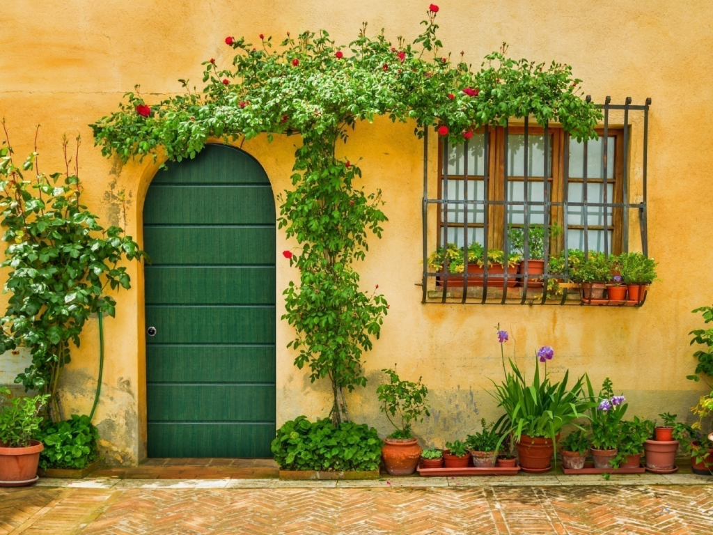green-arched-door-photo